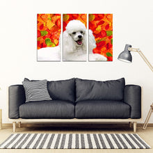 Load image into Gallery viewer, Cute Poodle Print 5 Piece Framed Canvas- Free Shipping