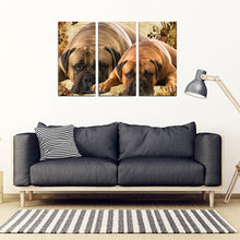 Load image into Gallery viewer, Bullmastiff Print- Piece Framed Canvas- Free Shipping