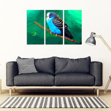Load image into Gallery viewer, Budgie Or Budgerigar (Common Parakeet ) Parrot Print 5 Piece Framed Canvas- Free Shipping