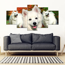 Load image into Gallery viewer, Cute American Eskimo Print- Piece Framed Canvas- Free Shipping