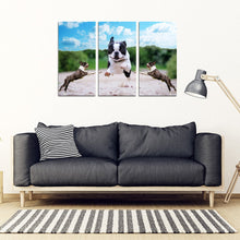 Load image into Gallery viewer, Boston Terrier Print- Piece Framed Canvas- Free Shipping