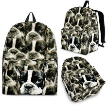 Load image into Gallery viewer, Boston Terrier Print Backpack- Express Shipping