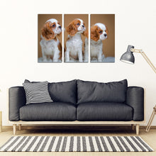 Load image into Gallery viewer, Cavalier King Charles Spaniel Print- Piece Framed Canvas- Free Shipping