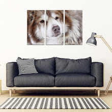 Load image into Gallery viewer, Canadian Eskimo Print- Piece Framed Canvas- Free Shipping