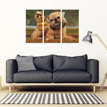 Load image into Gallery viewer, Brussels Griffon Print-3 Piece Framed Canvas- Free Shipping