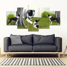Load image into Gallery viewer, Cute Boston Terrier Print-5 Piece Framed Canvas- Free Shipping