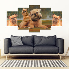 Load image into Gallery viewer, Brussels Griffon Print-3 Piece Framed Canvas- Free Shipping