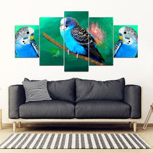 Load image into Gallery viewer, Budgie Or Budgerigar (Common Parakeet ) Parrot Print 5 Piece Framed Canvas- Free Shipping