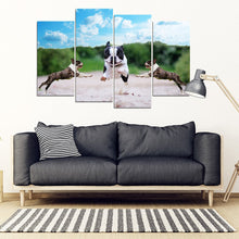 Load image into Gallery viewer, Boston Terrier Print- Piece Framed Canvas- Free Shipping
