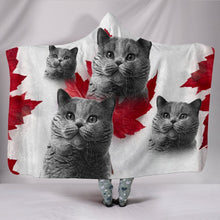 Load image into Gallery viewer, Cute British Shorthair Cat Print Hooded Blanket-Free Shipping