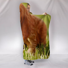 Load image into Gallery viewer, Cute Cocker Spaniel Puppy Print Hooded Blanket-Free Shipping