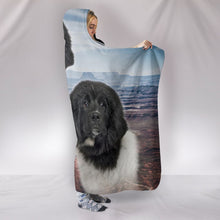 Load image into Gallery viewer, Cute Newfoundland Dog Print Hooded Blanket-Free Shipping
